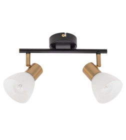 Светильник потолочный Arte Lamp FALENA A3117PL-2BK