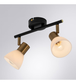 Светильник потолочный Arte Lamp FALENA A3117PL-2BK