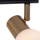 Светильник потолочный Arte Lamp FALENA A3117PL-2BK (A3117PL-2BK) 