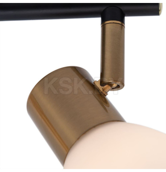 Светильник потолочный Arte Lamp FALENA A3117PL-2BK (A3117PL-2BK) 