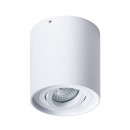 Светильник потолочный Arte Lamp FALCON A5645PL-1WH (A5645PL-1WH) 