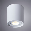 Светильник потолочный Arte Lamp FALCON A5645PL-1WH (A5645PL-1WH) 