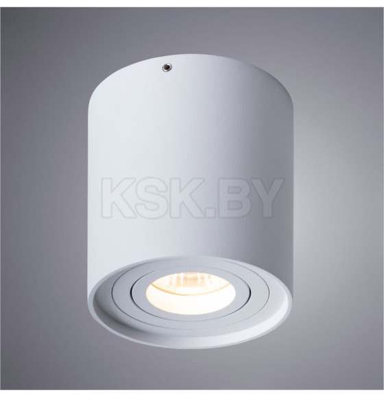 Светильник потолочный Arte Lamp FALCON A5645PL-1WH (A5645PL-1WH) 