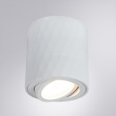 Светильник потолочный Arte Lamp FANG A5559PL-1WH (A5559PL-1WH) 