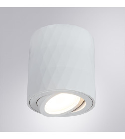 Светильник потолочный Arte Lamp FANG A5559PL-1WH