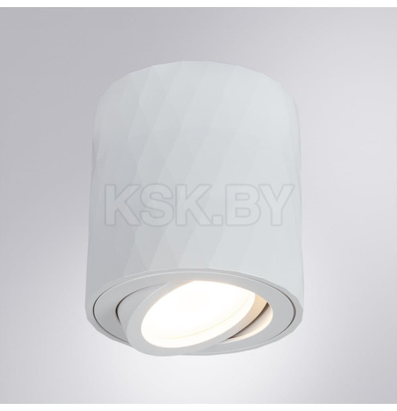 Светильник потолочный Arte Lamp FANG A5559PL-1WH (A5559PL-1WH) 