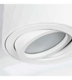 Светильник потолочный Arte Lamp FANG A5559PL-1WH