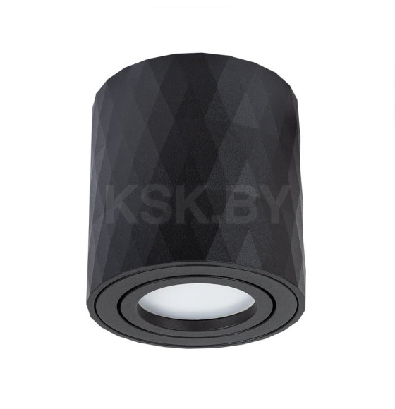 Светильник потолочный Arte Lamp FANG A5559PL-1BK (A5559PL-1BK) 