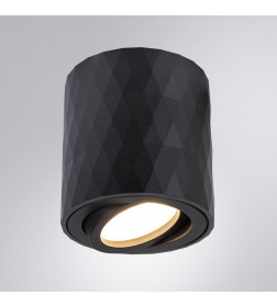 Светильник потолочный Arte Lamp FANG A5559PL-1BK