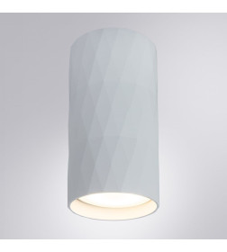 Светильник потолочный Arte Lamp FANG A5557PL-1WH