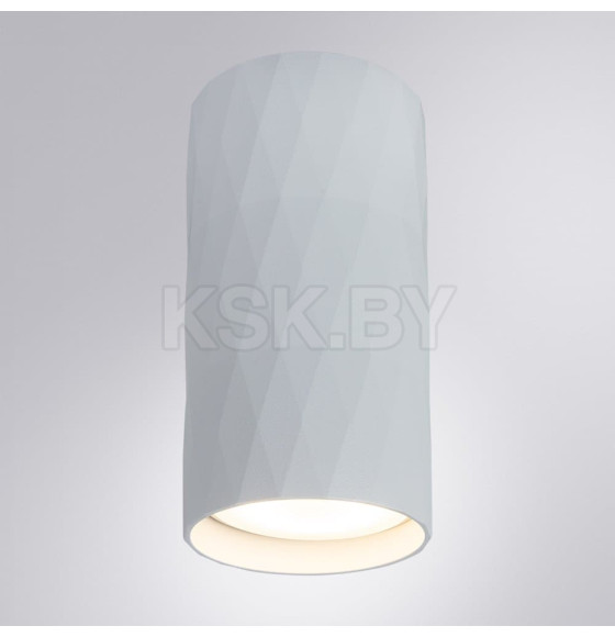 Светильник потолочный Arte Lamp FANG A5557PL-1WH (A5557PL-1WH) 