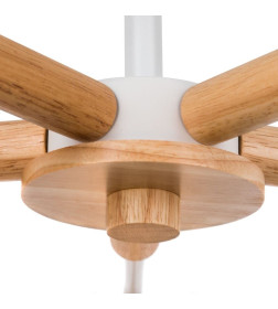 Светильник потолочный Arte Lamp MATTHEW A5032PL-5BR