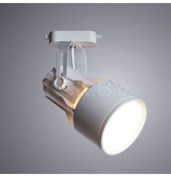 Светильник потолочный Arte Lamp LYRA A6252PL-1WH (A6252PL-1WH) 