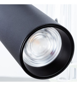 Светильник потолочный Arte Lamp LINEA A4691PL-1BK