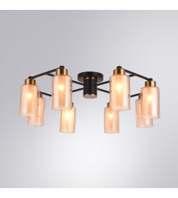 Светильник потолочный Arte Lamp LEO A7027PL-8BK