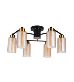 Светильник потолочный Arte Lamp LEO A7027PL-6BK