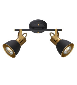 Светильник потолочный Arte Lamp JOVI A1677PL-2GO