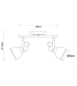 Светильник потолочный Arte Lamp JOVI A1677PL-2GO