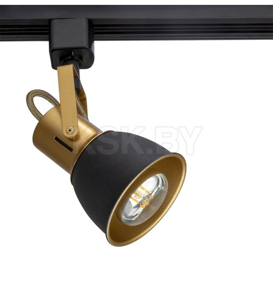 Светильник потолочный Arte Lamp JOVI A1677PL-1GO (A1677PL-1GO) 