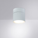 Светильник потолочный Arte Lamp INTERCRUS A5549PL-1WH (A5549PL-1WH) 