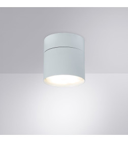 Светильник потолочный Arte Lamp INTERCRUS A5549PL-1WH