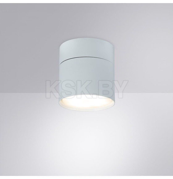 Светильник потолочный Arte Lamp INTERCRUS A5549PL-1WH (A5549PL-1WH) 