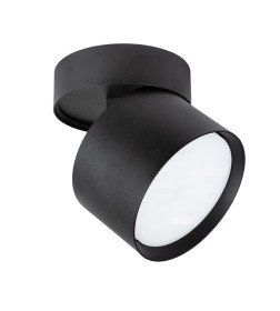 Светильник потолочный Arte Lamp INTERCRUS A5549PL-1BK