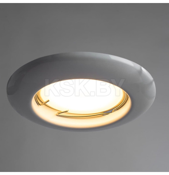 Светильник потолочный Arte Lamp PRAKTISCH A1203PL-1WH (A1203PL-1WH) 