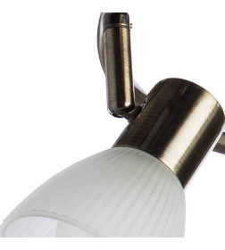 Светильник потолочный Arte Lamp PARRY A5062PL-3AB