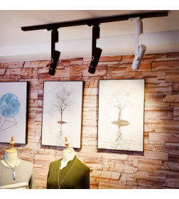Светильник потолочный Arte Lamp ORION A2512PL-1WH