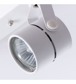 Светильник потолочный Arte Lamp MIZAR A1311PL-2WH 2*GU10