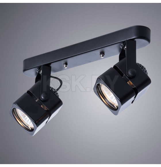 Светильник потолочный Arte Lamp MISAM A1315PL-2BK 2*GU10 (A1315PL-2BK) 