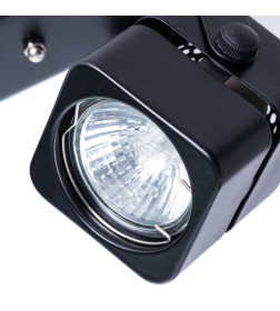 Светильник потолочный Arte Lamp MISAM A1315PL-2BK 2*GU10