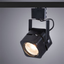 Светильник потолочный Arte Lamp MISAM A1315PL-1BK (A1315PL-1BK) 