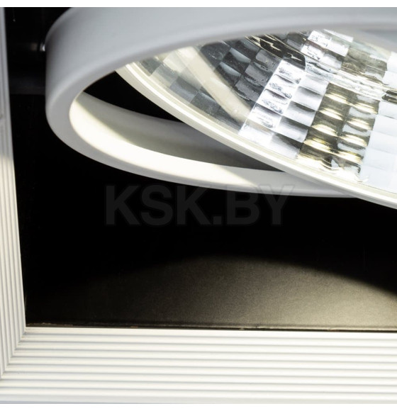 Светильник потолочный Arte Lamp MERGA A8450PL-1WH (A8450PL-1WH) 