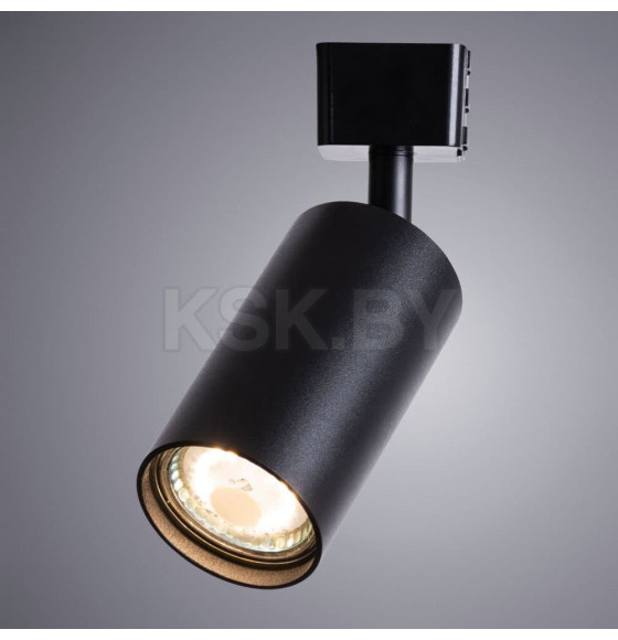 Светильник потолочный Arte Lamp RIDGE A1518PL-1BK (A1518PL-1BK) 