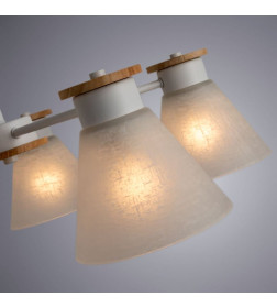 Светильник потолочный Arte Lamp TYLER A1031PL-5WH