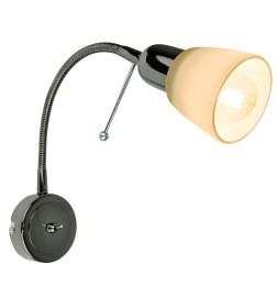 Светильник настенный Arte Lamp LETTURA A7009AP-1BC