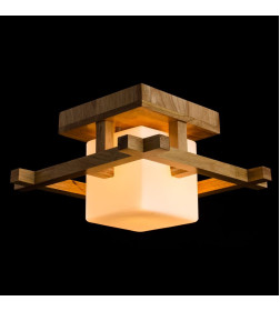 Светильник потолочный Arte Lamp WOODS A8252PL-1BR