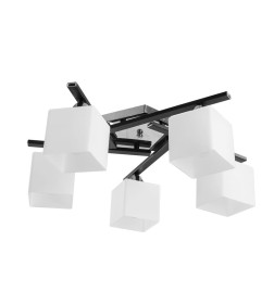 Светильник потолочный Arte Lamp VISUALE A8165PL-5BK