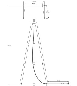 Светильник напольный Arte Lamp WASAT A4023PN-1CC