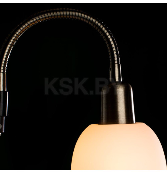 Светильник напольный Arte Lamp DUETTO A9569PN-2AB (A9569PN-2AB) 