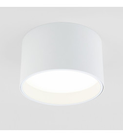 Светильник накладной белый (25123/LED) Banti 13W