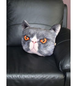 Подушка декоративная MATEX ANIMALS. КОТ КРАСНЫЕ ГЛАЗА. Размер: 41x38 Цвет: Серый, красный