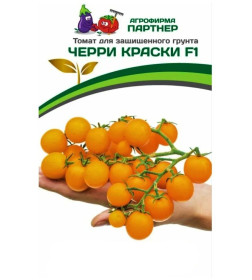 Томат Черри  Краски F1, 5шт