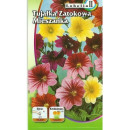 Сальпиглосис Смесь 0,5г."LOBELIA II"(семена)