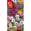 Остеоспермум Звездное сияние карликовый, смесь сортов 10 шт