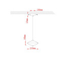 Светильник подвесной Arte Lamp ANDROMEDA A2089SP-6GO (A2089SP-6GO) 