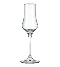 Набор рюмок для граппы (6шт) 100мл, артикул 6050/100 Grappa 10