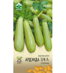 Кабачок Ардендо 174 F1 6шт семена (Эксперт)